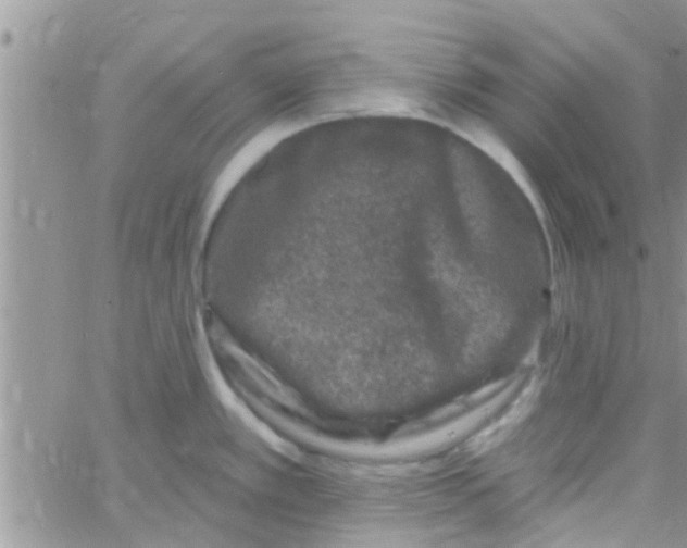 X0000061151389200512091948