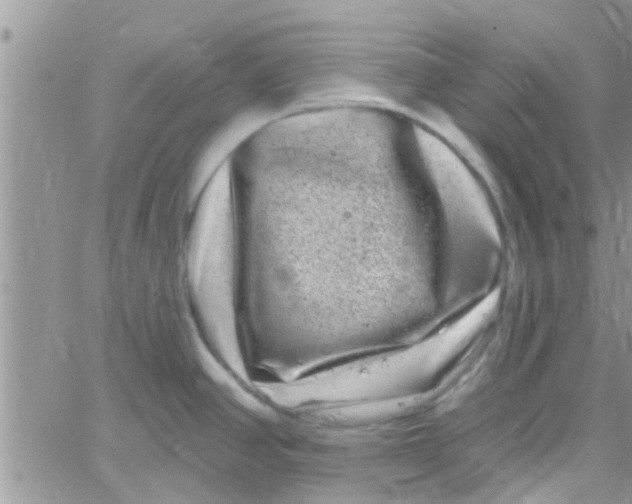 X0000061151390200512091948