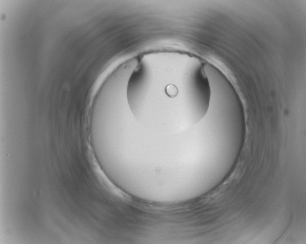 X0000061151392200512091948