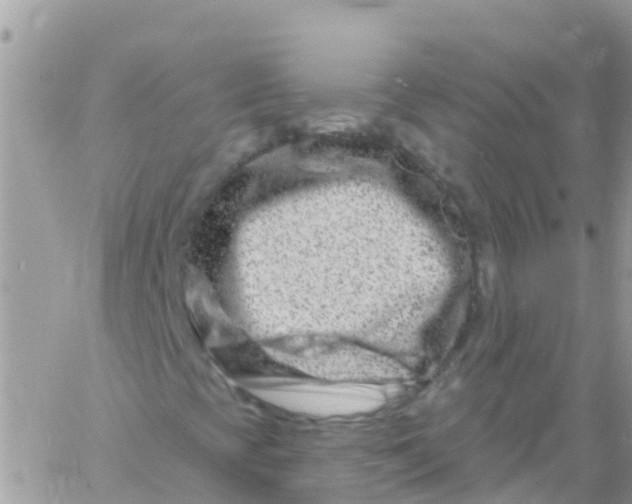 X0000061151393200512091947