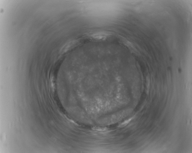 X0000061151394200512091947