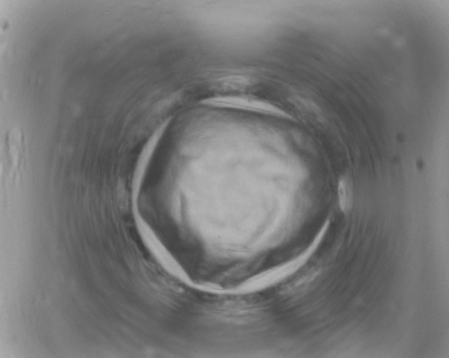 X0000061151395200512091947