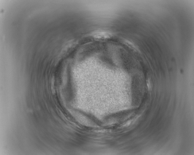 X0000061151396200512091947