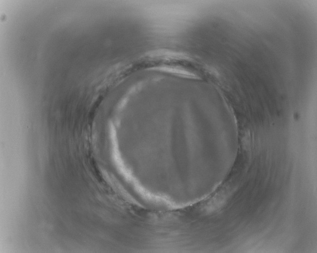 X0000061151397200512091947