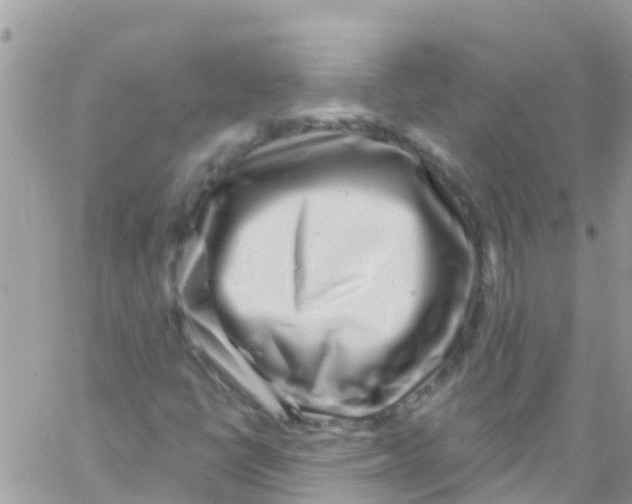 X0000061151398200512091947