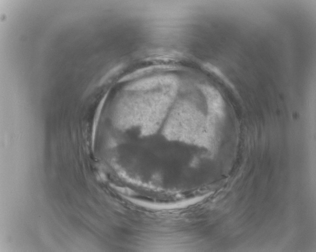 X0000061151399200512091947