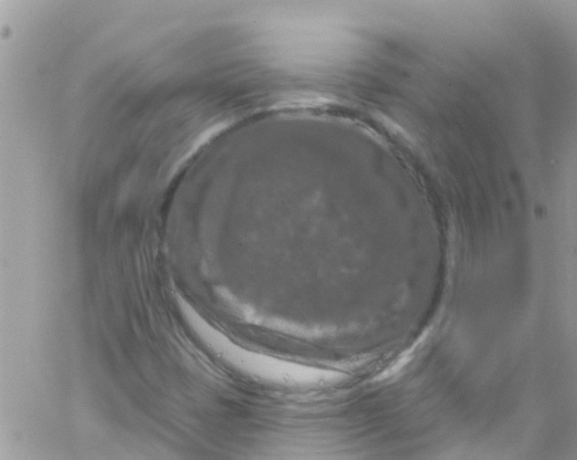 X0000061151401200512091947