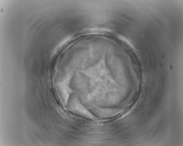 X0000061151403200512091947