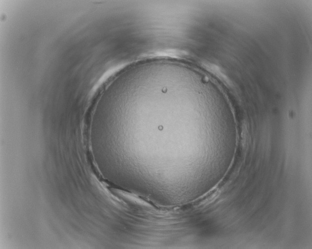 X0000061151404200512091947