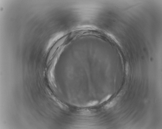 X0000061151405200512091947