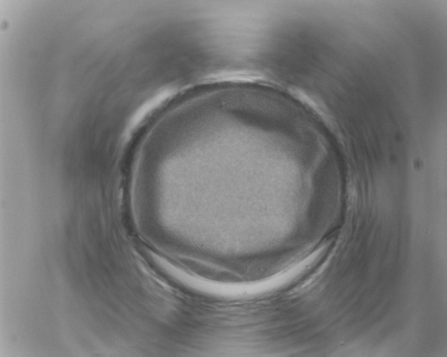 X0000061151406200512091947