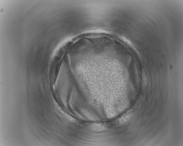 X0000061151408200512091947