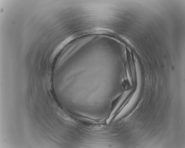 X0000061151410200512091947