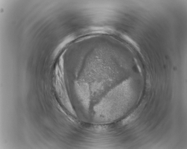 X0000061151411200512091948