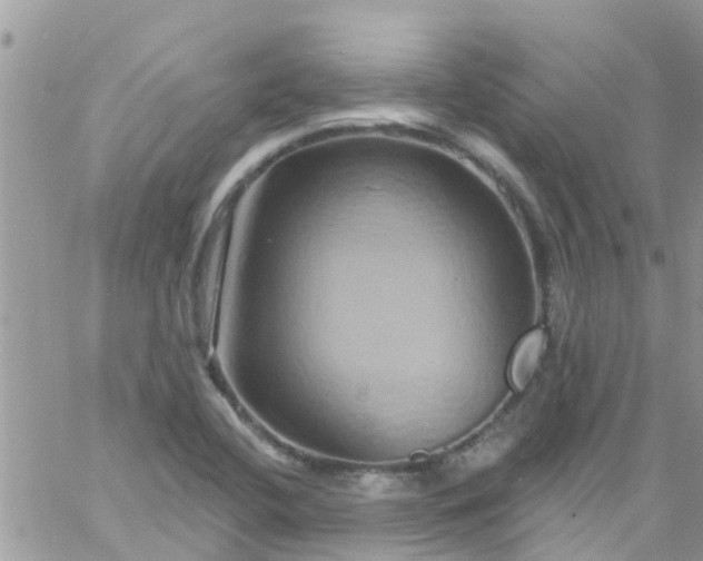 X0000061151412200512091948