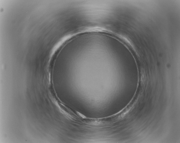 X0000061151414200512091948