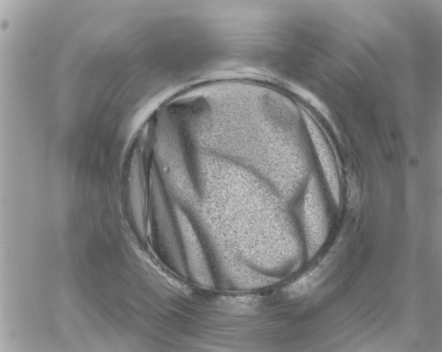 X0000061151415200512091948