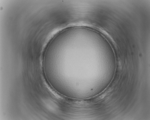 X0000061151416200512091948