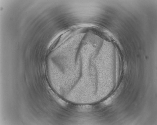 X0000061151417200512091948