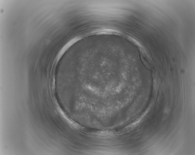 X0000061151418200512091948