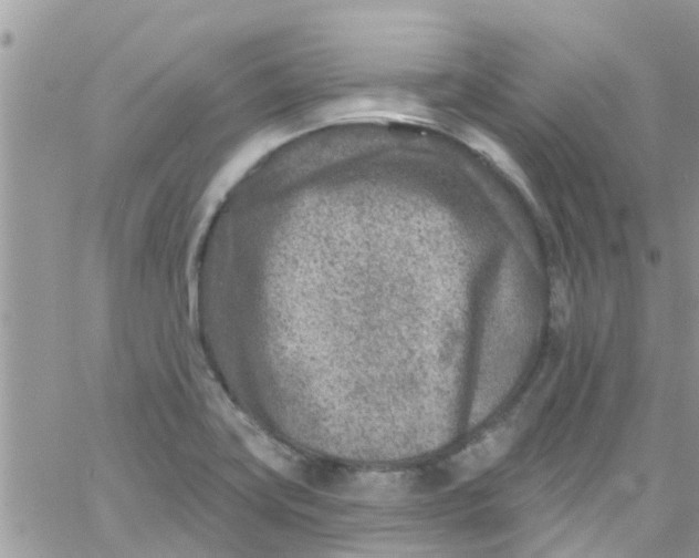 X0000061151419200512091948