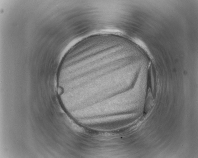 X0000061151420200512091948