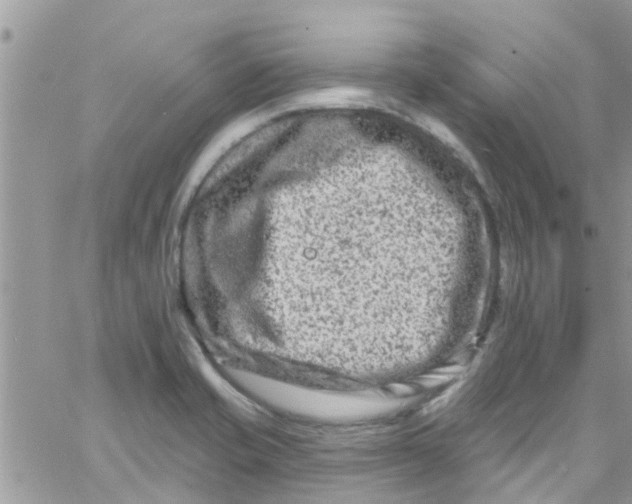 X0000061151421200512091948