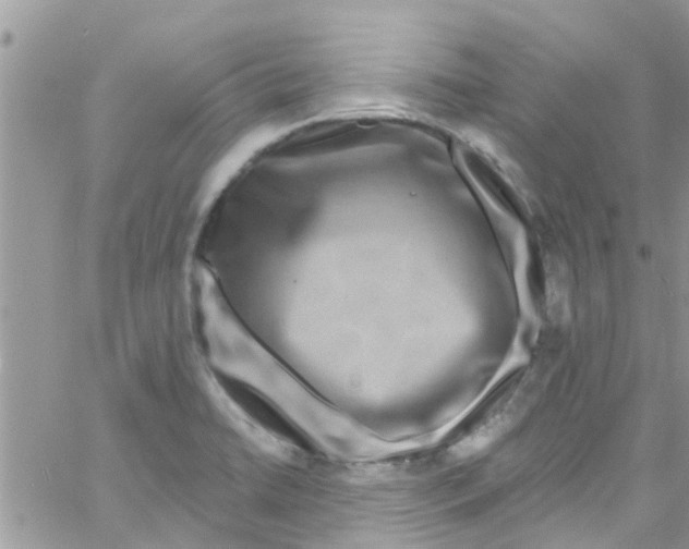 X0000061151422200512091948