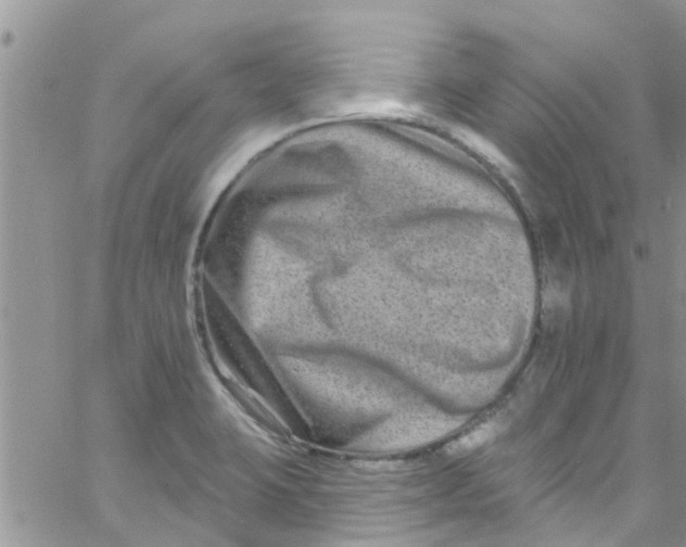 X0000061151423200512091948