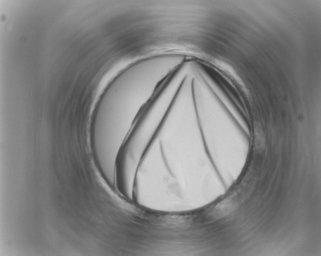 X0000061151424200512091948