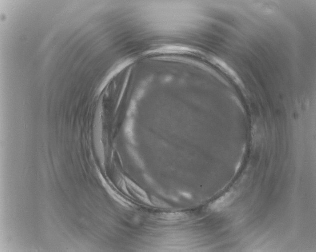 X0000061151425200512091948