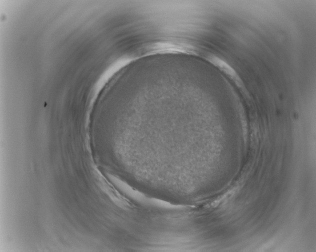 X0000061151427200512091948