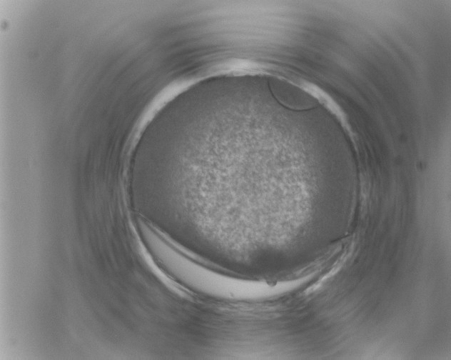 X0000061151429200512091948