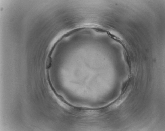 X0000061151430200512091948