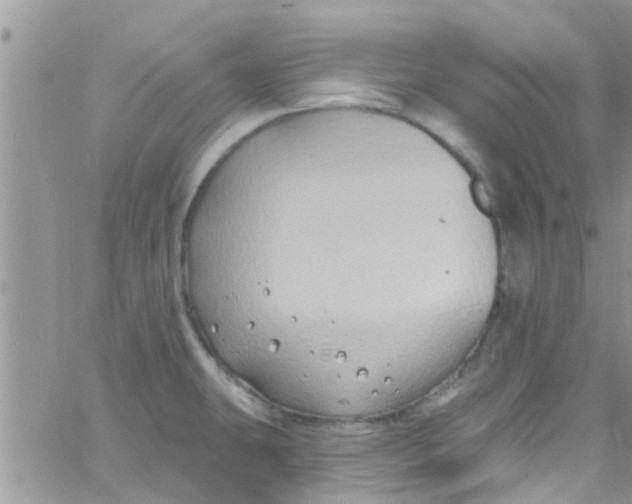 X0000061151431200512091948