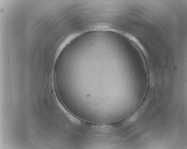 X0000061151432200512091948