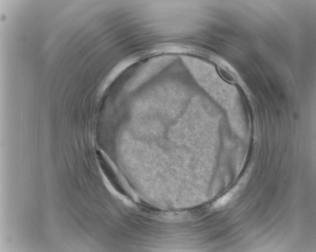 X0000061151433200512091948