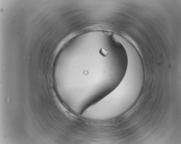 X0000061151434200512091948