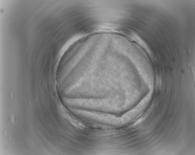 X0000061151435200512091948