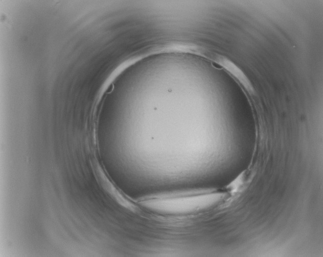 X0000061151436200512091948