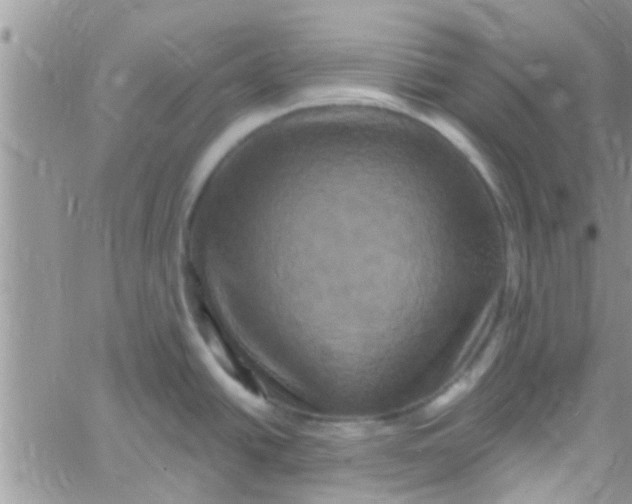 X0000061151438200512091948