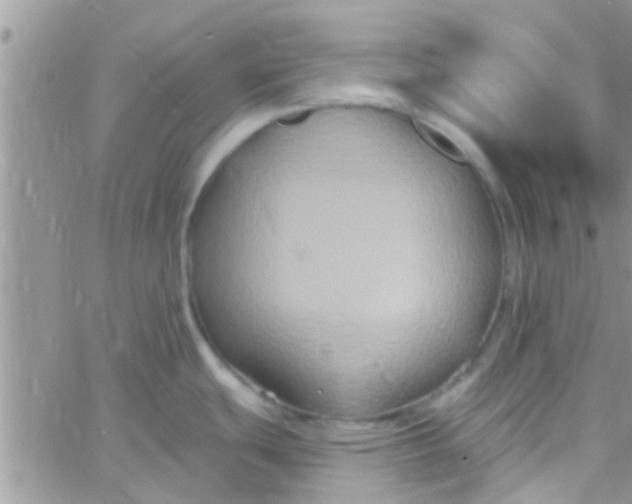 X0000061151439200512091948