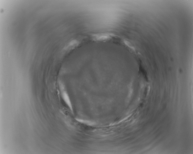 X0000061151441200512091947