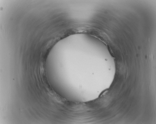 X0000061151442200512091947