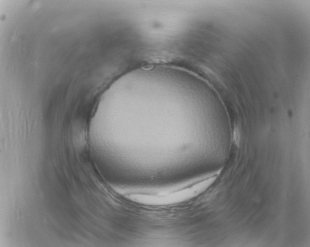 X0000061151444200512091947