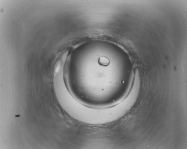 X0000061151445200512091947