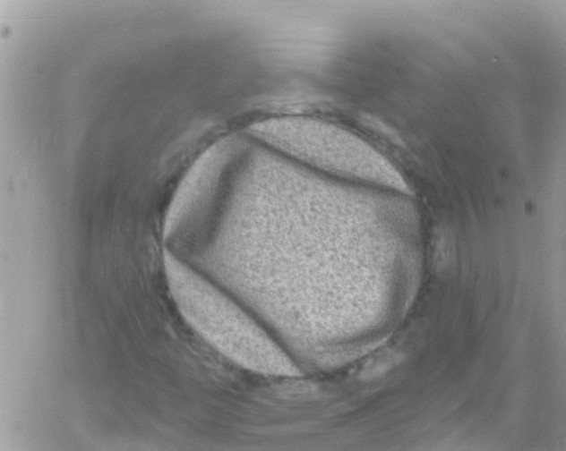 X0000061151446200512091947