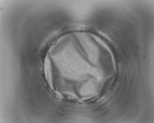 X0000061151447200512091947