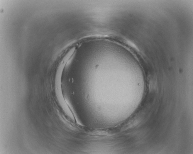 X0000061151448200512091947