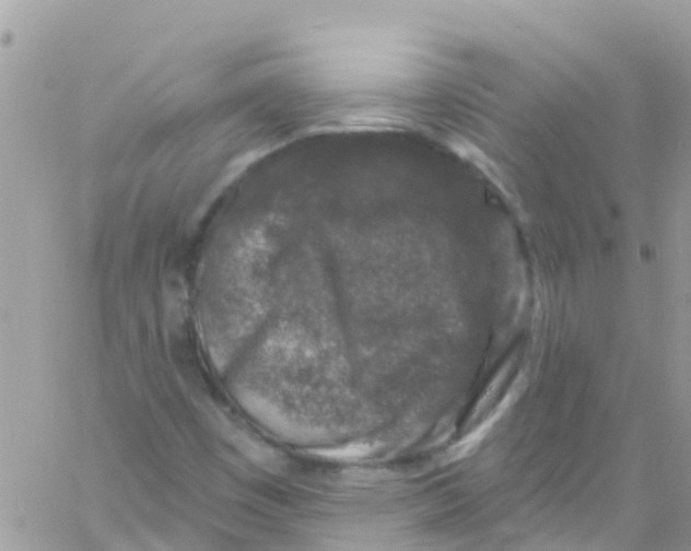 X0000061151449200512091947